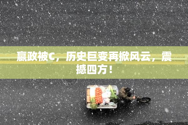 嬴政被C，历史巨变再掀风云，震撼四方！