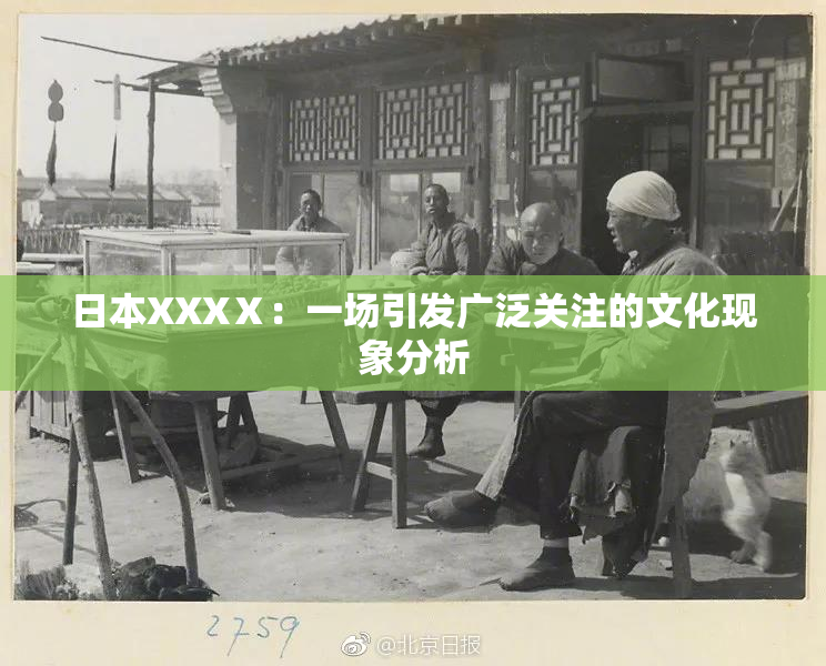 日本XXXⅩ：一场引发广泛关注的文化现象分析