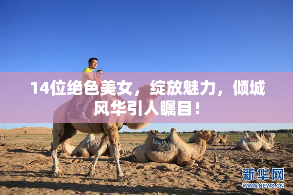 14位绝色美女，绽放魅力，倾城风华引人瞩目！