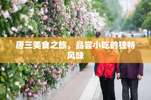 唐三美食之旅，品尝小吃的独特风味