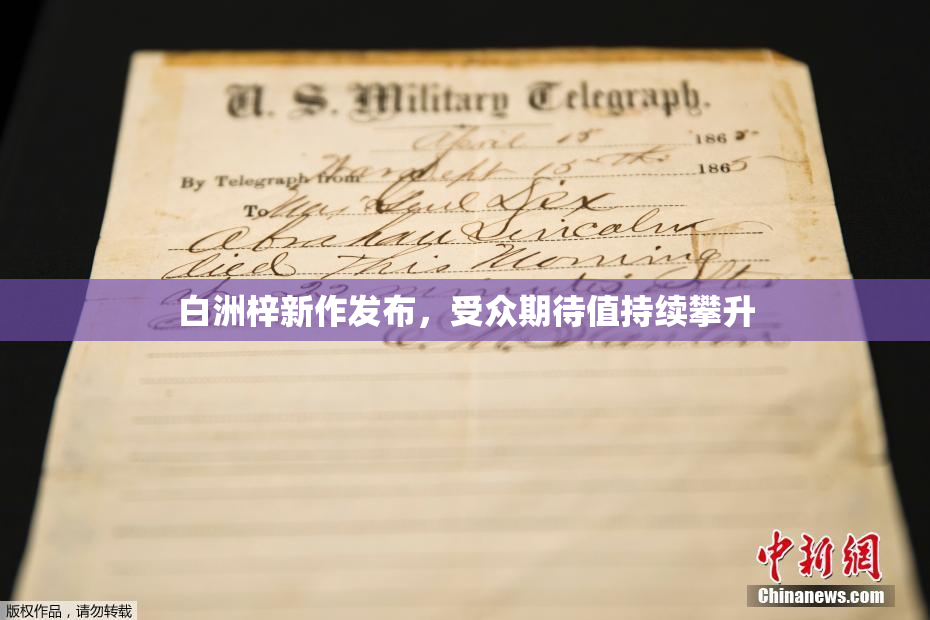 白洲梓新作发布，受众期待值持续攀升