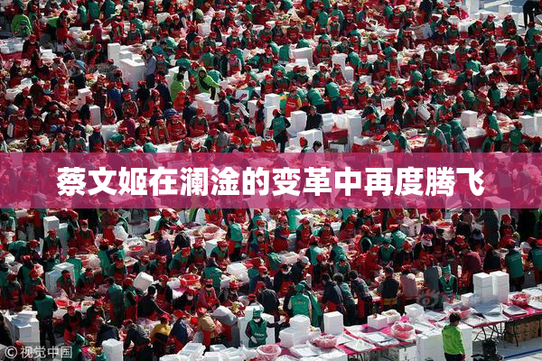 蔡文姬在澜淦的变革中再度腾飞