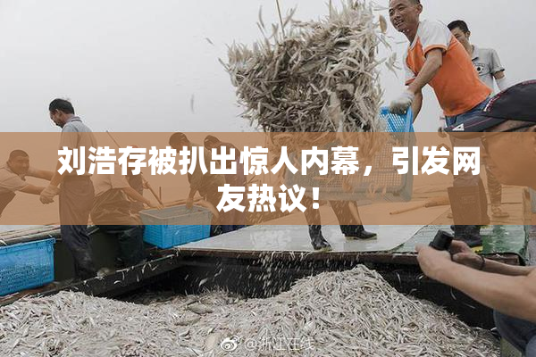 刘浩存被扒出惊人内幕，引发网友热议！