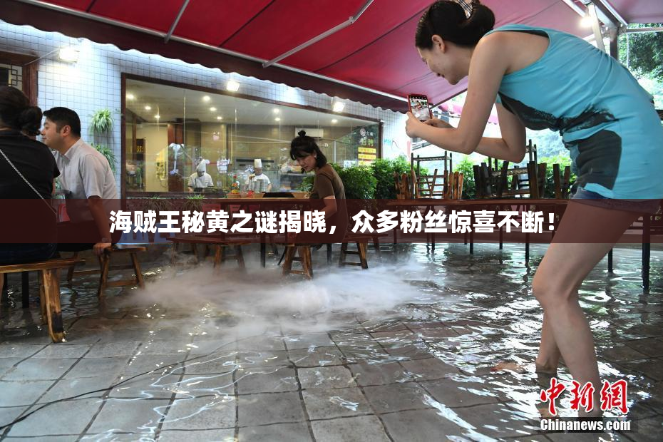 海贼王秘黄之谜揭晓，众多粉丝惊喜不断！