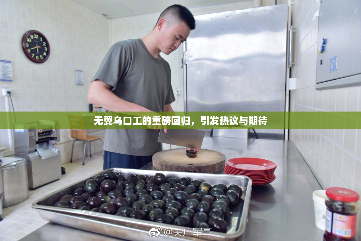 无翼乌口工的重磅回归，引发热议与期待