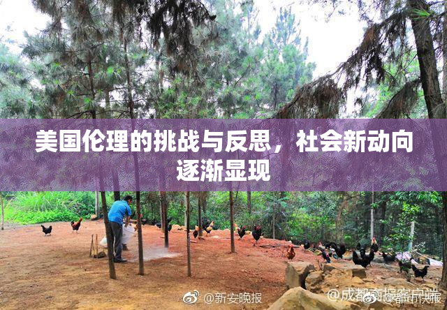 美国伦理的挑战与反思，社会新动向逐渐显现