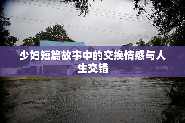 少妇短篇故事中的交换情感与人生交错