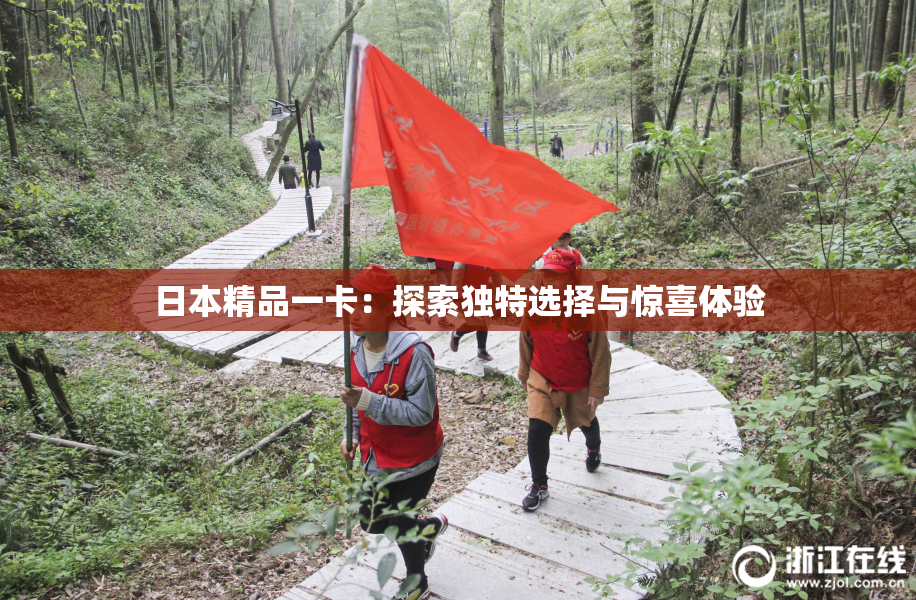 日本精品一卡：探索独特选择与惊喜体验