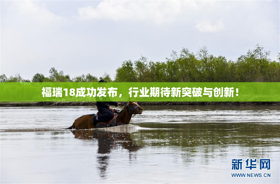 福瑞18成功发布，行业期待新突破与创新！