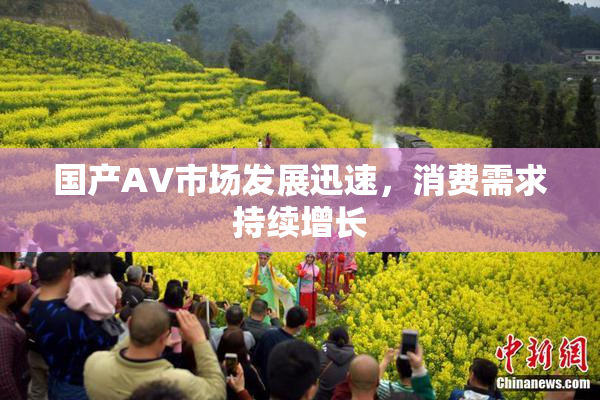 国产AV市场发展迅速，消费需求持续增长
