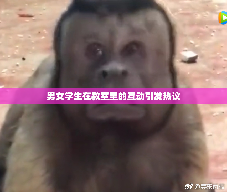 男女学生在教室里的互动引发热议
