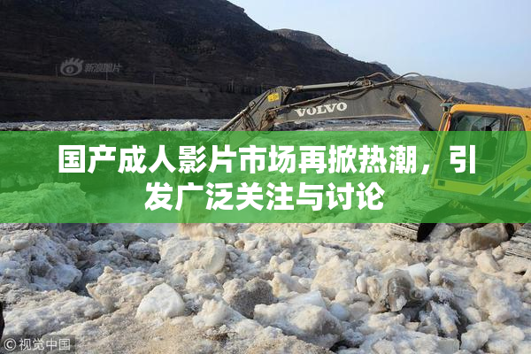 国产成人影片市场再掀热潮，引发广泛关注与讨论