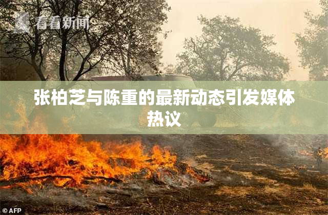 张柏芝与陈重的最新动态引发媒体热议