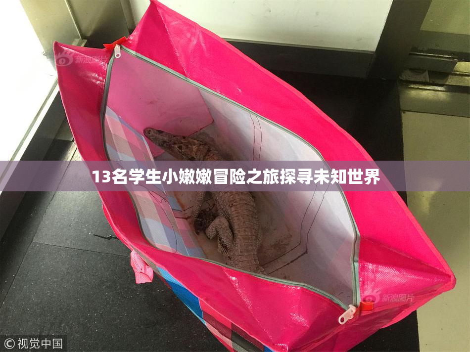 13名学生小嫩嫩冒险之旅探寻未知世界
