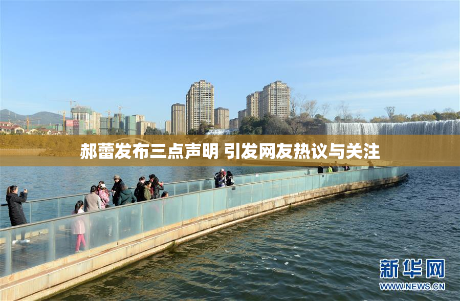 郝蕾发布三点声明 引发网友热议与关注