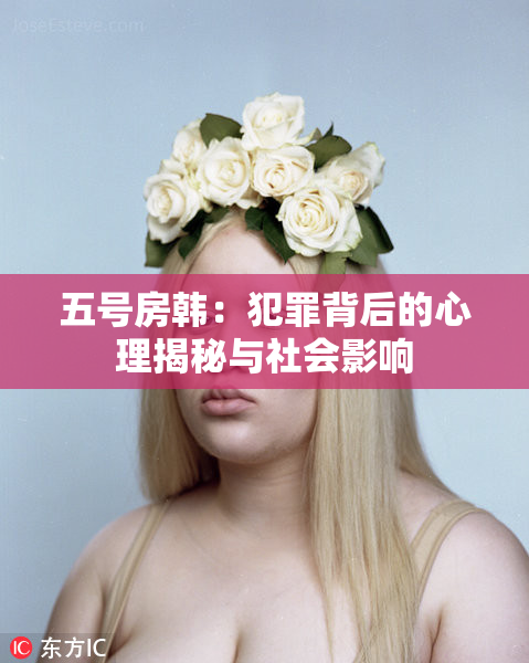 五号房韩：犯罪背后的心理揭秘与社会影响