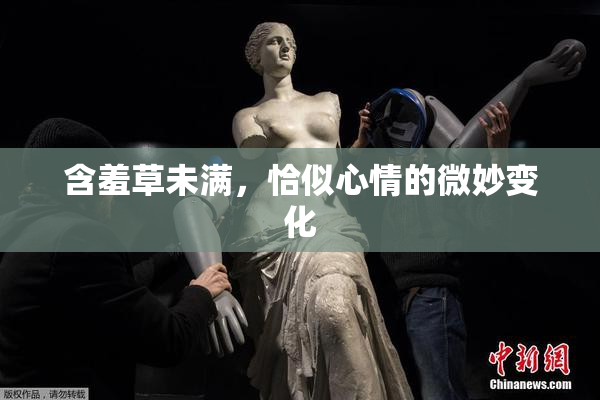 含羞草未满，恰似心情的微妙变化