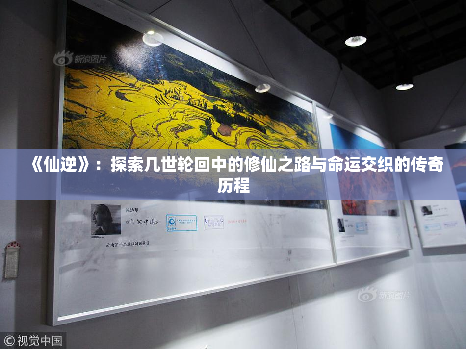 《仙逆》：探索几世轮回中的修仙之路与命运交织的传奇历程