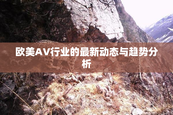 欧美AV行业的最新动态与趋势分析