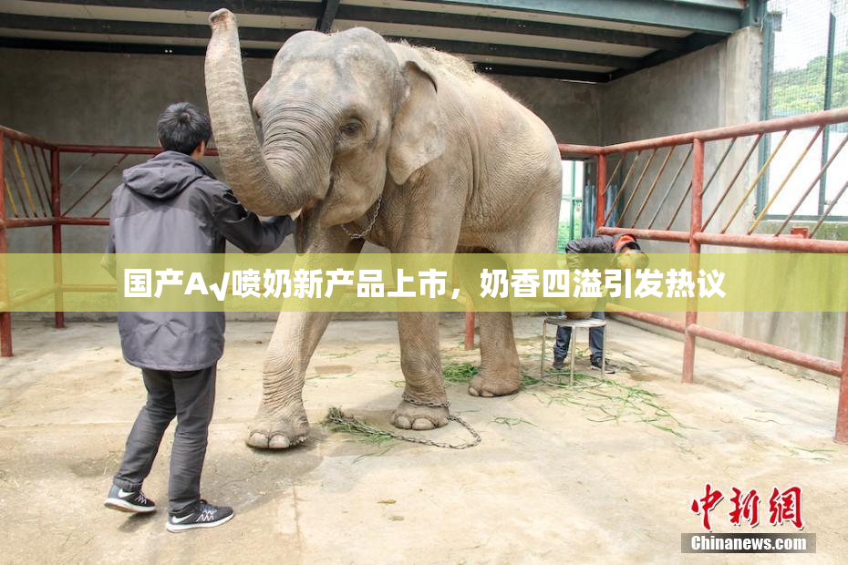 国产A√喷奶新产品上市，奶香四溢引发热议