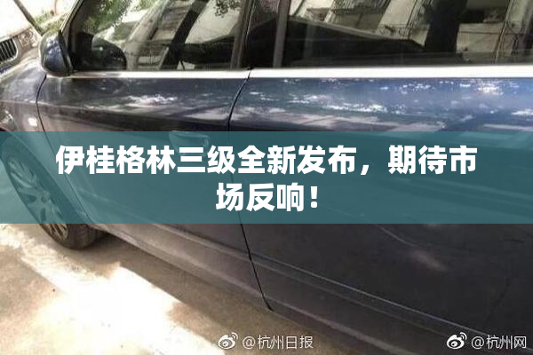 伊桂格林三级全新发布，期待市场反响！