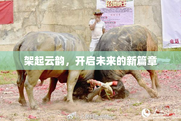 架起云韵，开启未来的新篇章