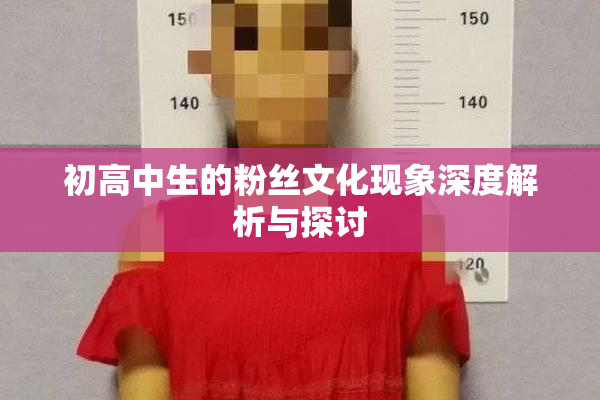 初高中生的粉丝文化现象深度解析与探讨