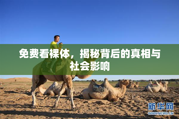 免费看裸体，揭秘背后的真相与社会影响