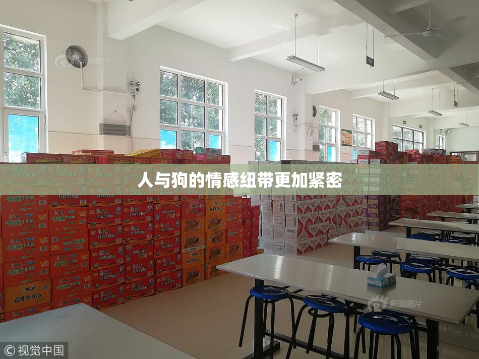 人与狗的情感纽带更加紧密
