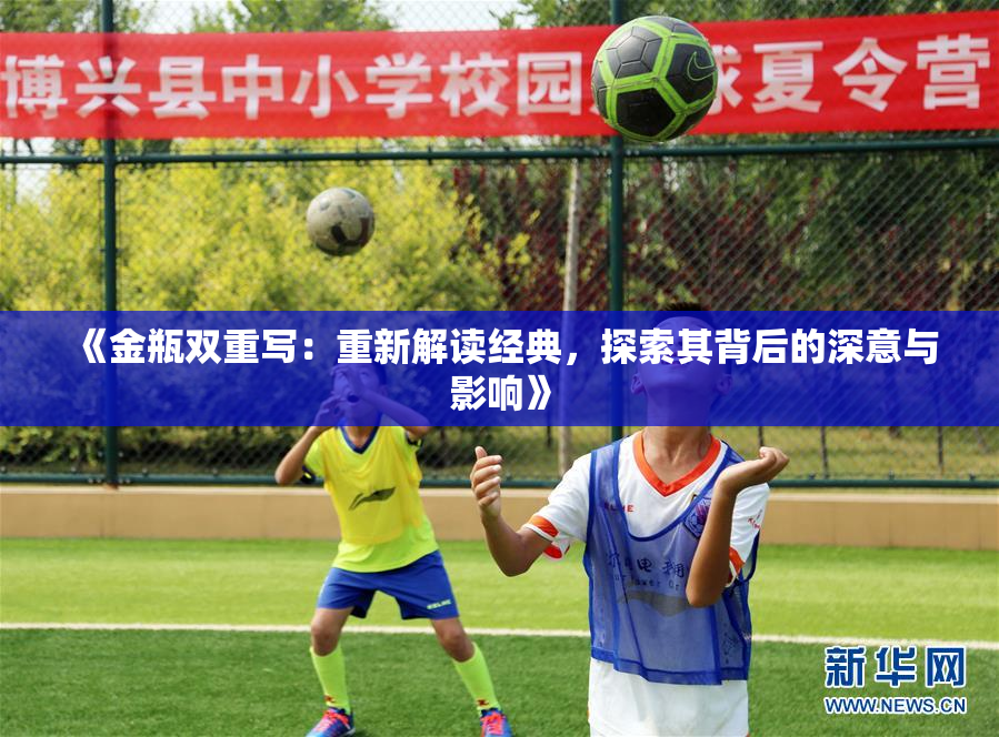《金瓶双重写：重新解读经典，探索其背后的深意与影响》