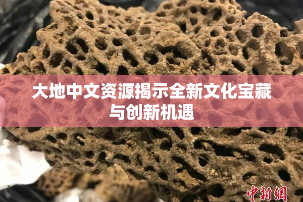 大地中文资源揭示全新文化宝藏与创新机遇