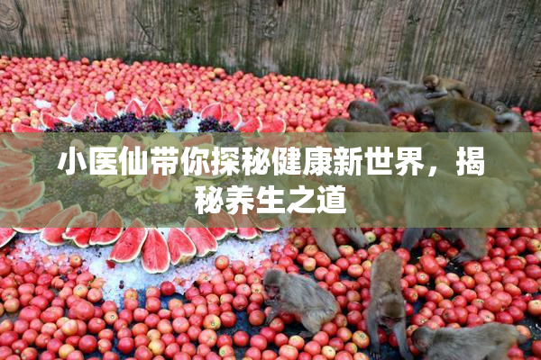 小医仙带你探秘健康新世界，揭秘养生之道