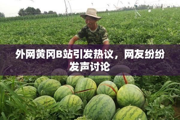 外网黄冈B站引发热议，网友纷纷发声讨论