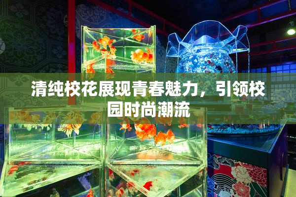 清纯校花展现青春魅力，引领校园时尚潮流