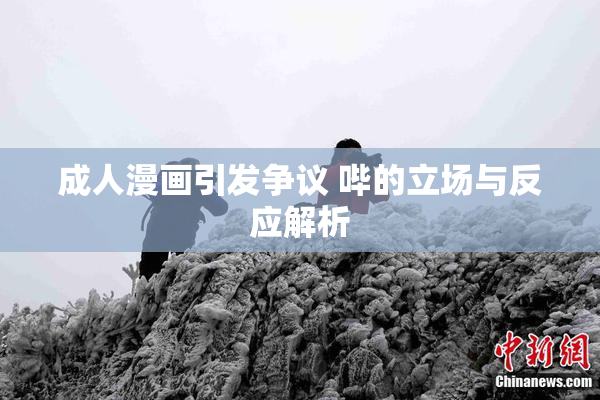 成人漫画引发争议 哔的立场与反应解析