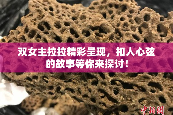双女主拉拉精彩呈现，扣人心弦的故事等你来探讨！