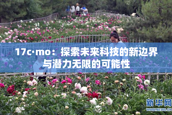 17c·mo：探索未来科技的新边界与潜力无限的可能性