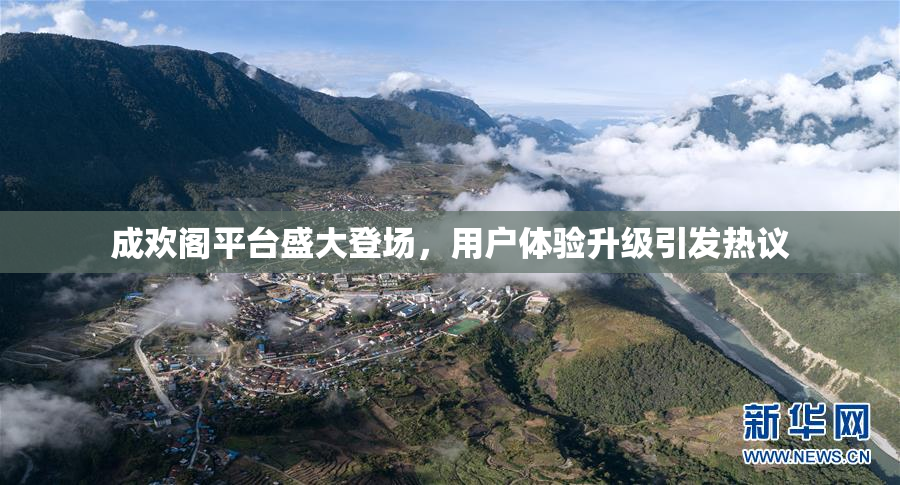 成欢阁平台盛大登场，用户体验升级引发热议