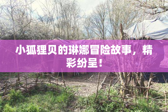小狐狸贝的琳娜冒险故事，精彩纷呈！