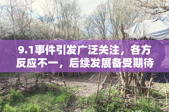 9.1事件引发广泛关注，各方反应不一，后续发展备受期待