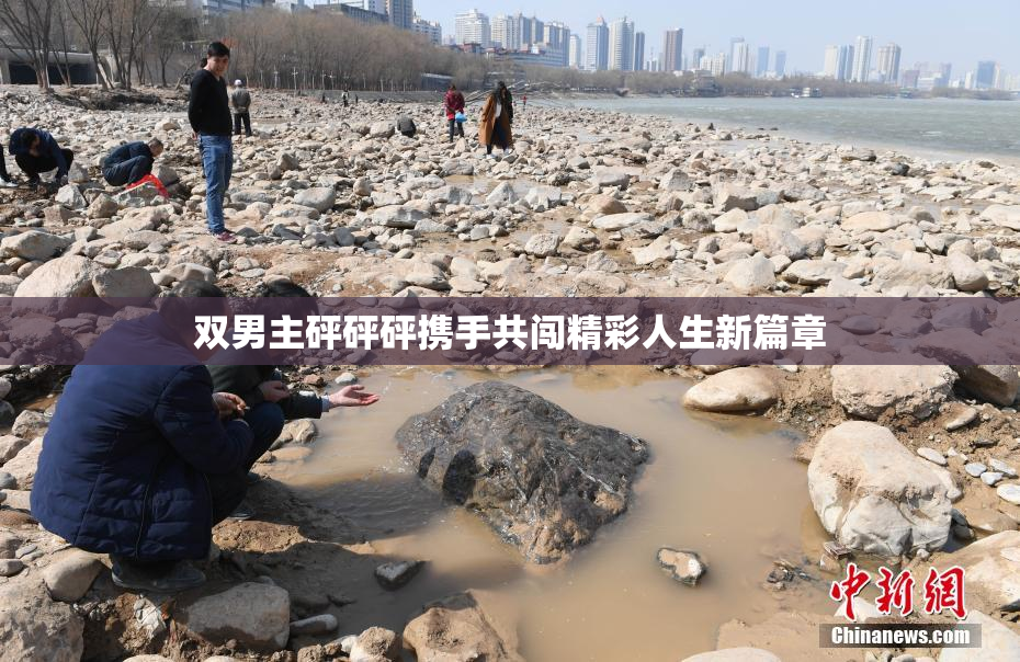 双男主砰砰砰携手共闯精彩人生新篇章