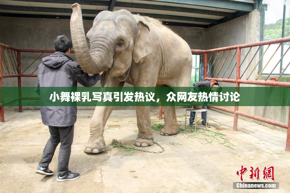 小舞裸乳写真引发热议，众网友热情讨论