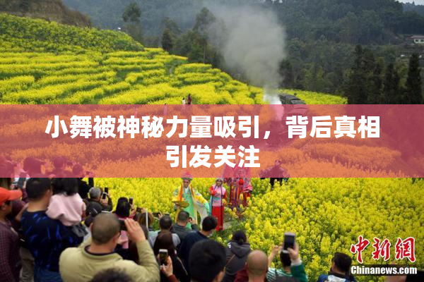 小舞被神秘力量吸引，背后真相引发关注