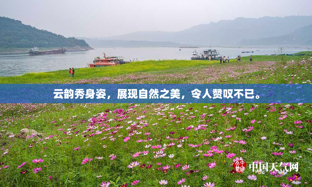 云韵秀身姿，展现自然之美，令人赞叹不已。