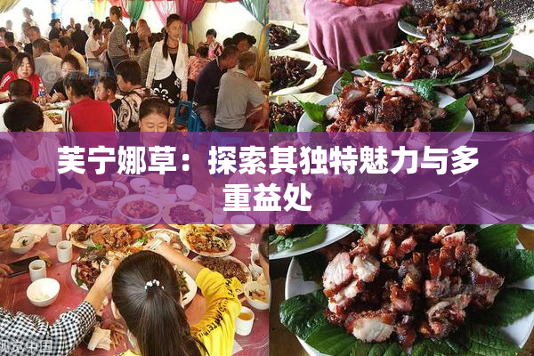 芙宁娜草：探索其独特魅力与多重益处