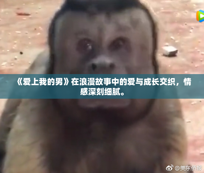 《爱上我的男》在浪漫故事中的爱与成长交织，情感深刻细腻。