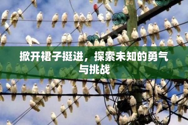 掀开裙子挺进，探索未知的勇气与挑战