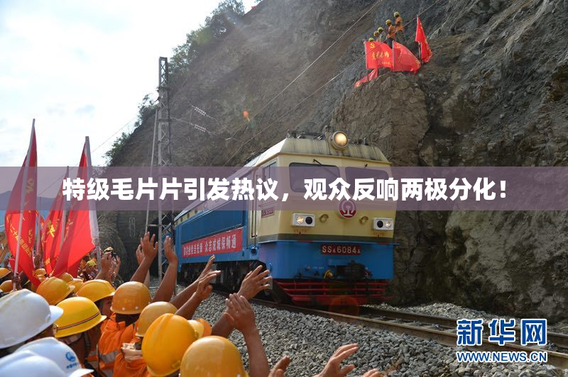 特级毛片片引发热议，观众反响两极分化！