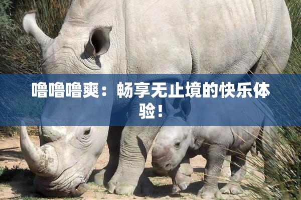 噜噜噜爽：畅享无止境的快乐体验！