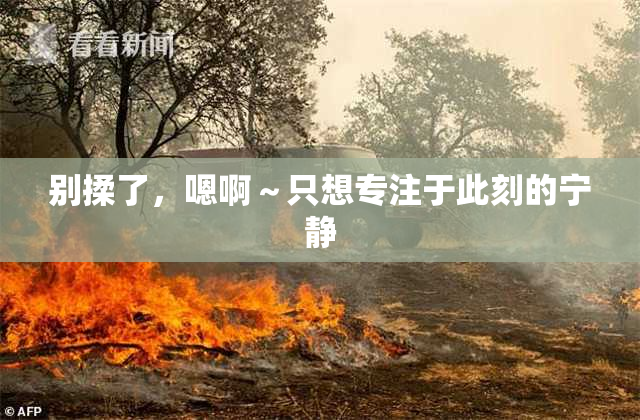 别揉了，嗯啊～只想专注于此刻的宁静